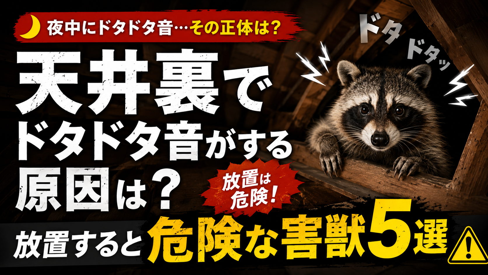 天井裏でドタドタ音がする原因は？放置すると危険な害獣5選