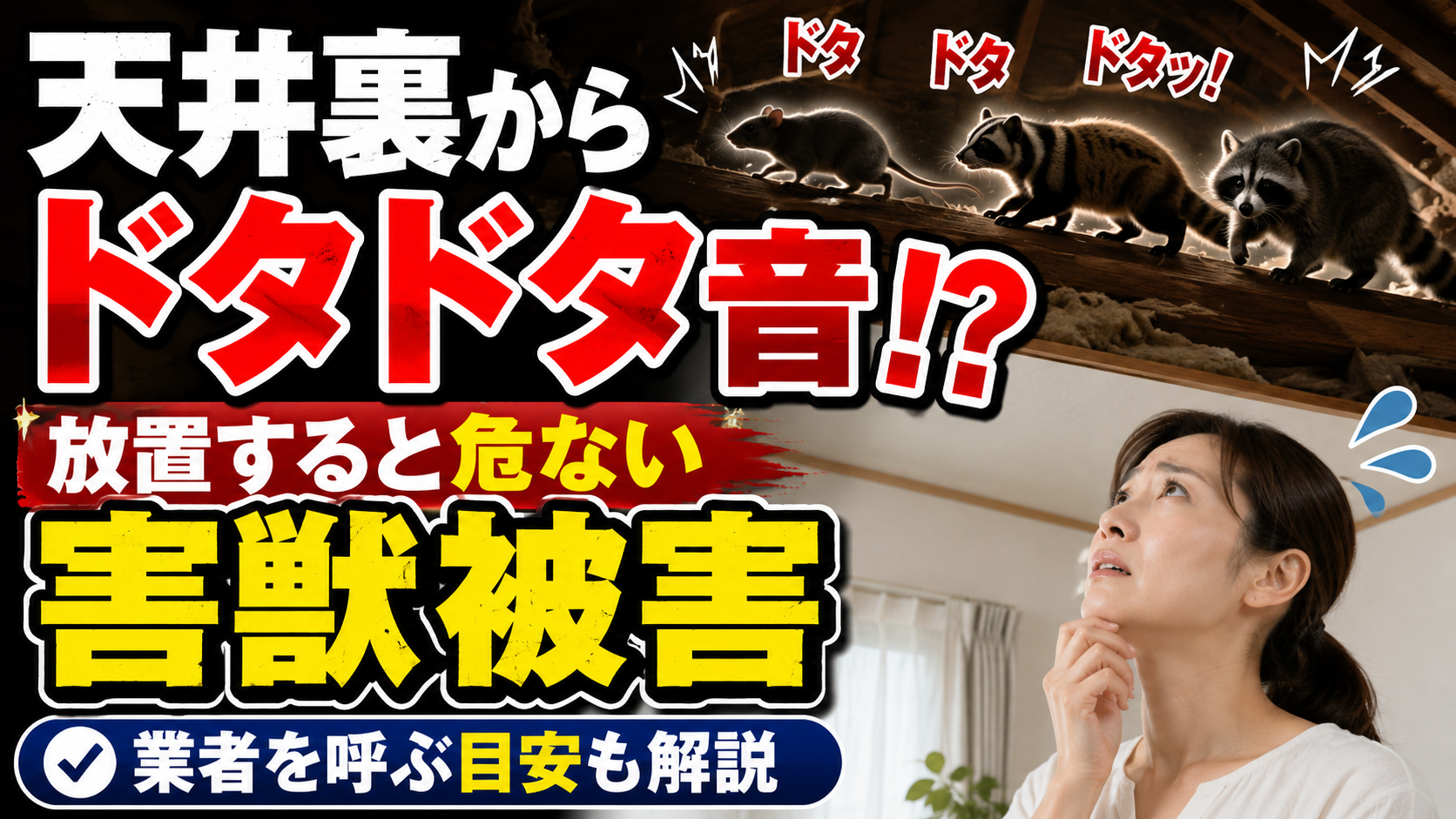 天井裏からドタドタ音がする原因は？放置すると危ない害獣被害と業者を呼ぶ目安